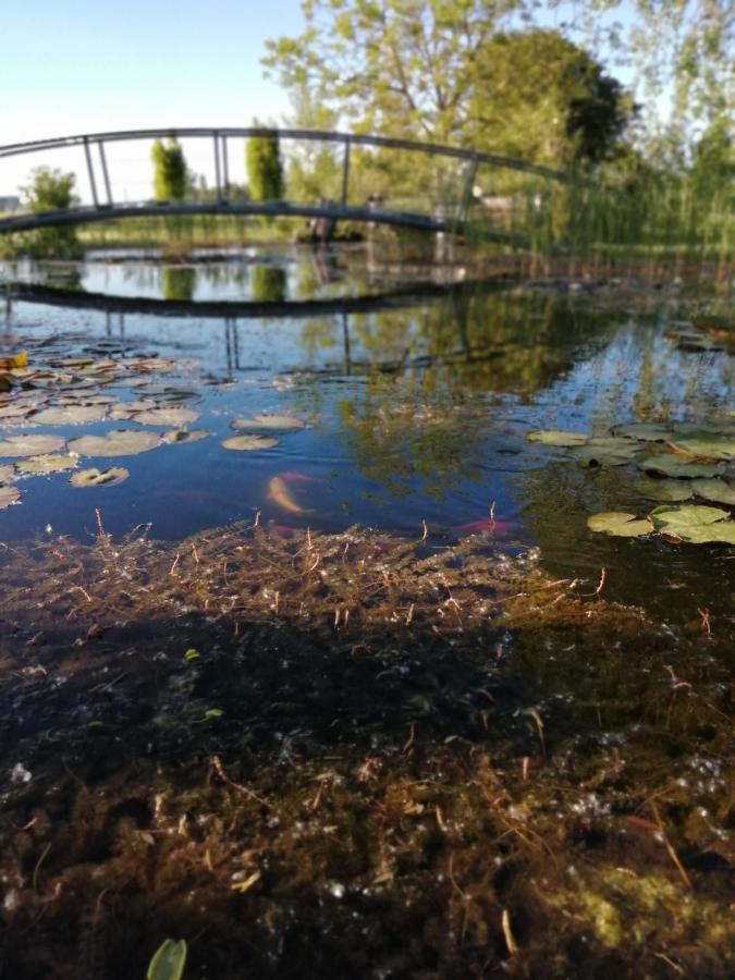 Oasi Bianca Hotel Pomposa Kültér fotó